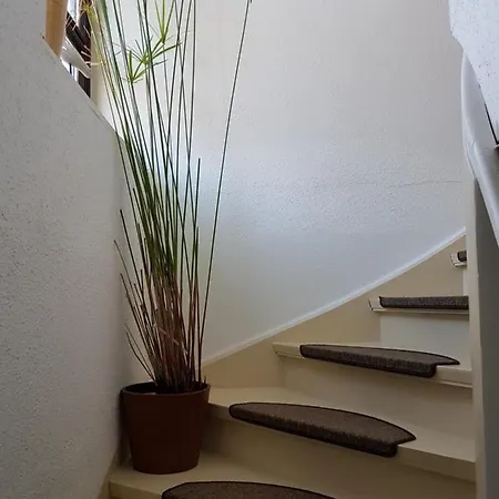 Casa vacanze Rosenweg Bad Sachsa